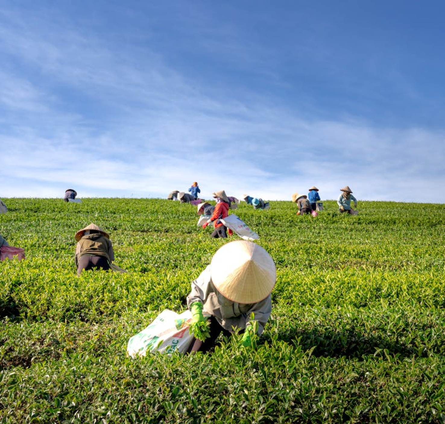 Farmers and Climate Change